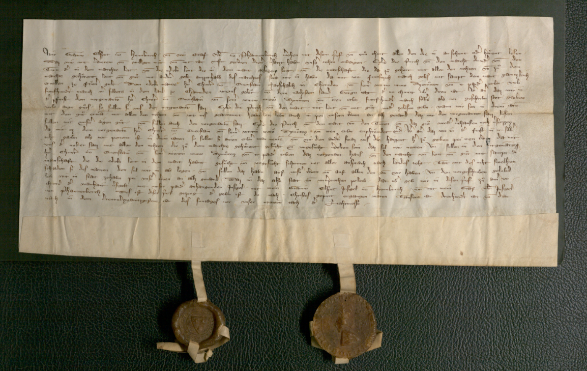 Originalna listina s prvo pisno omembo Celja. (Hrani Avstrijski državni arhiv)